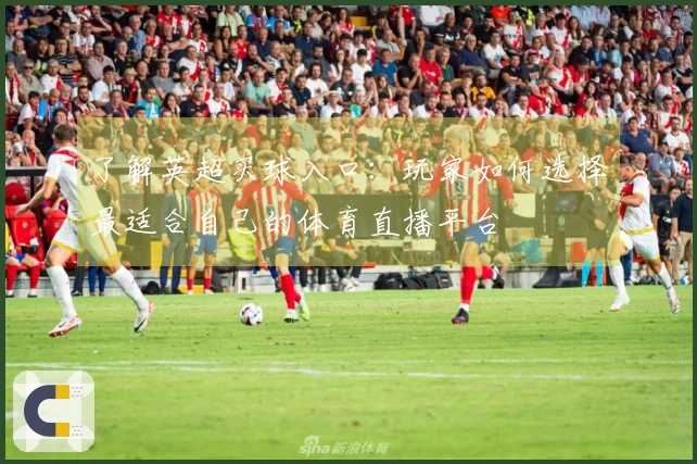 了解英超买球入口：玩家如何选择最适合自己的体育直播平台