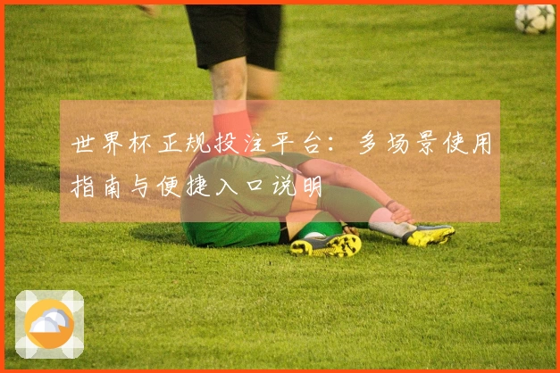 世界杯正规投注平台：多场景使用指南与便捷入口说明