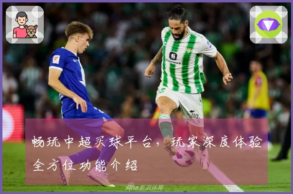 畅玩中超买球平台，玩家深度体验全方位功能介绍